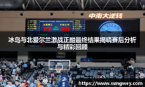 冰岛与北爱尔兰激战正酣最终结果揭晓赛后分析与精彩回顾